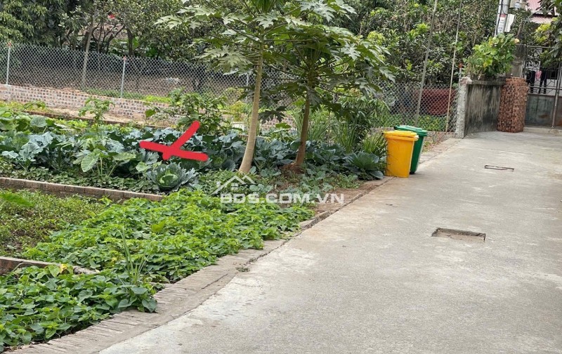 9) Cần tiền gấp em bán nhanh mảnh 66m Đất Ngô Xuyên – Như Quỳnh chỉ 2,x tỷ. Lh ngay 0362554684